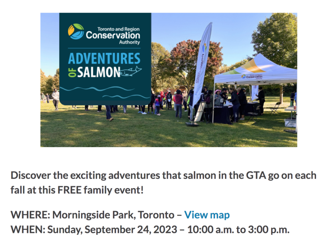 直击灵魂!看到汗毛直竖!起鸡皮疙瘩!三文鱼洄游季:多伦多周边5条最佳观赏河道 直击灵魂!看到汗毛直竖!起鸡皮疙瘩!三文鱼洄游季:多伦多周边5条最佳观赏河道