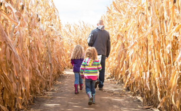烧脑!好玩!沉浸式放电!多伦多周边7个最火的玉米迷宫 烧脑!好玩!沉浸式放电!多伦多周边7个最火的玉米迷宫