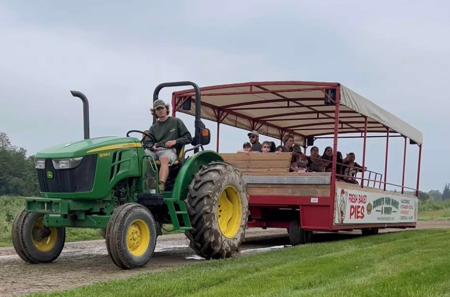 烧脑!好玩!沉浸式放电!多伦多周边7个最火的玉米迷宫 烧脑!好玩!沉浸式放电!多伦多周边7个最火的玉米迷宫