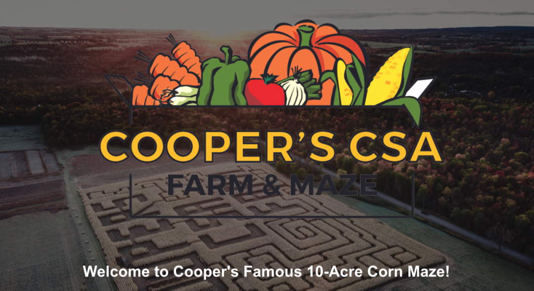 烧脑!好玩!沉浸式放电!多伦多周边7个最火的玉米迷宫 烧脑!好玩!沉浸式放电!多伦多周边7个最火的玉米迷宫