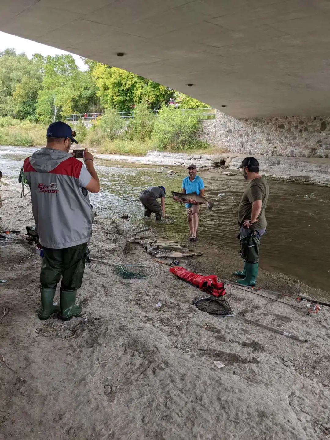 直击灵魂!看到汗毛直竖!起鸡皮疙瘩!三文鱼洄游季:多伦多周边5条最佳观赏河道 直击灵魂!看到汗毛直竖!起鸡皮疙瘩!三文鱼洄游季:多伦多周边5条最佳观赏河道