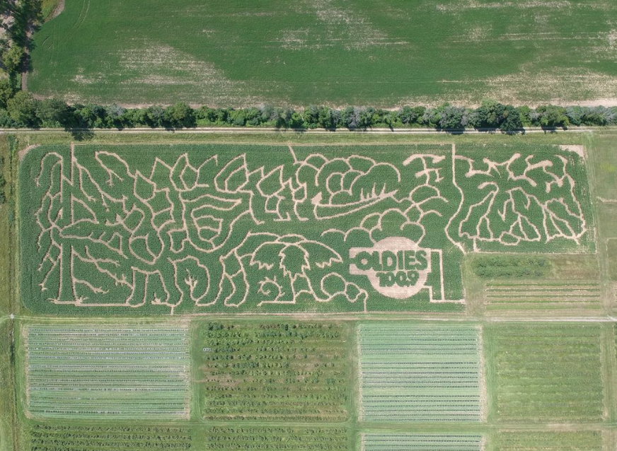 烧脑!好玩!沉浸式放电!多伦多周边7个最火的玉米迷宫 烧脑!好玩!沉浸式放电!多伦多周边7个最火的玉米迷宫