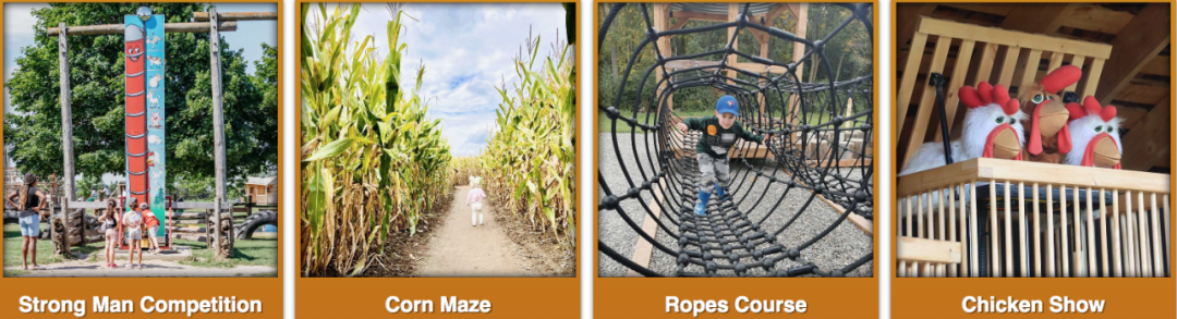 烧脑!好玩!沉浸式放电!多伦多周边7个最火的玉米迷宫 烧脑!好玩!沉浸式放电!多伦多周边7个最火的玉米迷宫