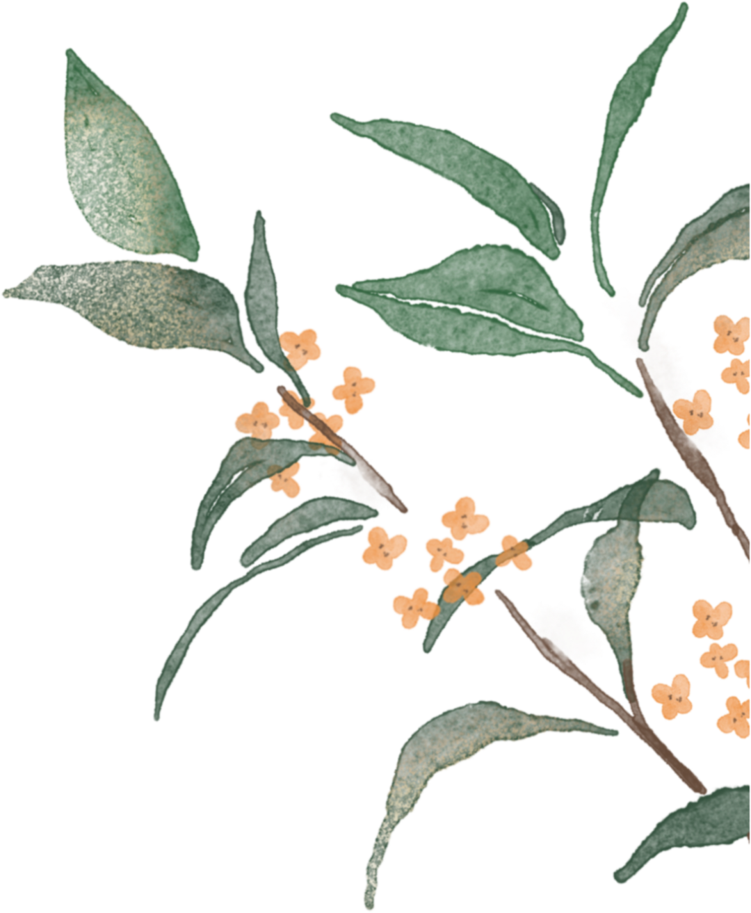 多伦多汉服下午茶，那个温柔娴静的角落