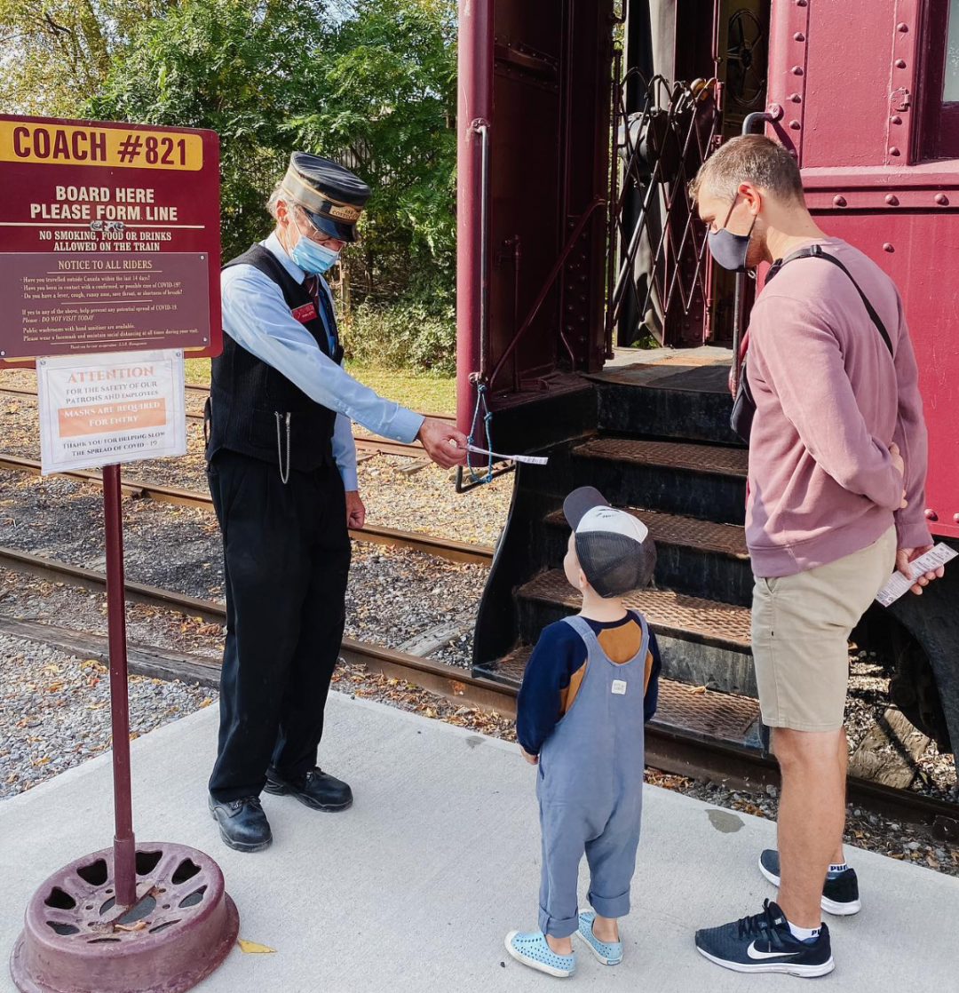 枫叶没红，火车票红了！坐火车赏枫叶要开始抢票了：抢到键盘冒烟