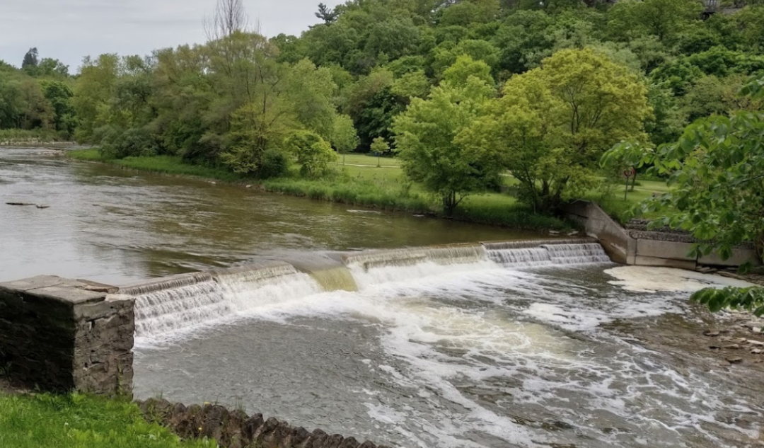 直击灵魂!看到汗毛直竖!起鸡皮疙瘩!三文鱼洄游季:多伦多周边5条最佳观赏河道 直击灵魂!看到汗毛直竖!起鸡皮疙瘩!三文鱼洄游季:多伦多周边5条最佳观赏河道