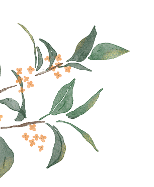 多伦多汉服下午茶，那个温柔娴静的角落