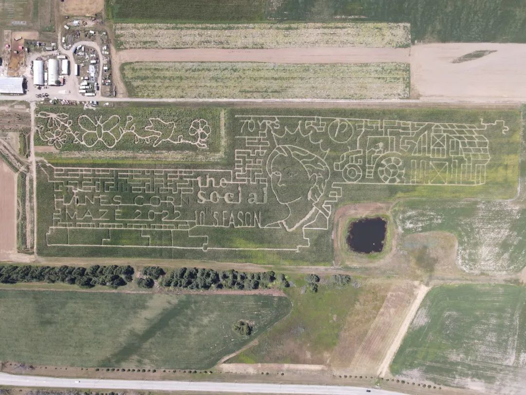 烧脑!好玩!沉浸式放电!多伦多周边7个最火的玉米迷宫 烧脑!好玩!沉浸式放电!多伦多周边7个最火的玉米迷宫
