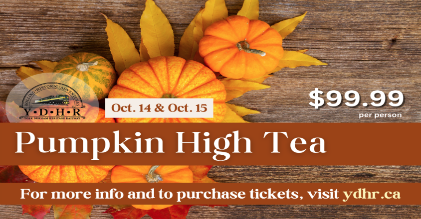 秋日氛围天花板了！多伦多复古火车赏枫high tea预订攻略看这篇