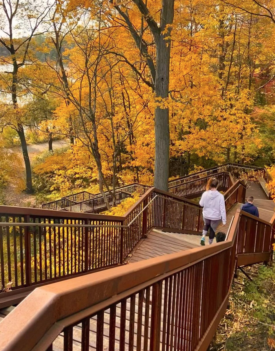 阿岗昆的代餐找到了！多伦多周边12个宝藏赏枫好去处：不远不出城！