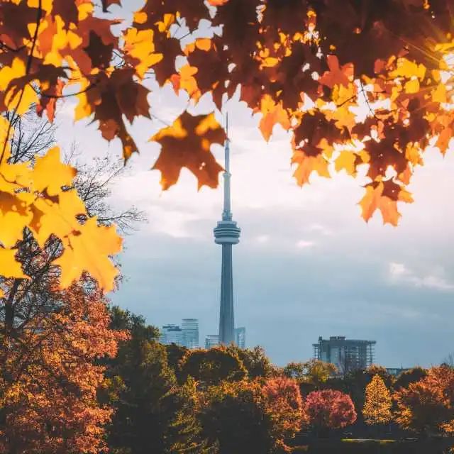 阿岗昆的代餐找到了！多伦多周边12个宝藏赏枫好去处：不远不出城！