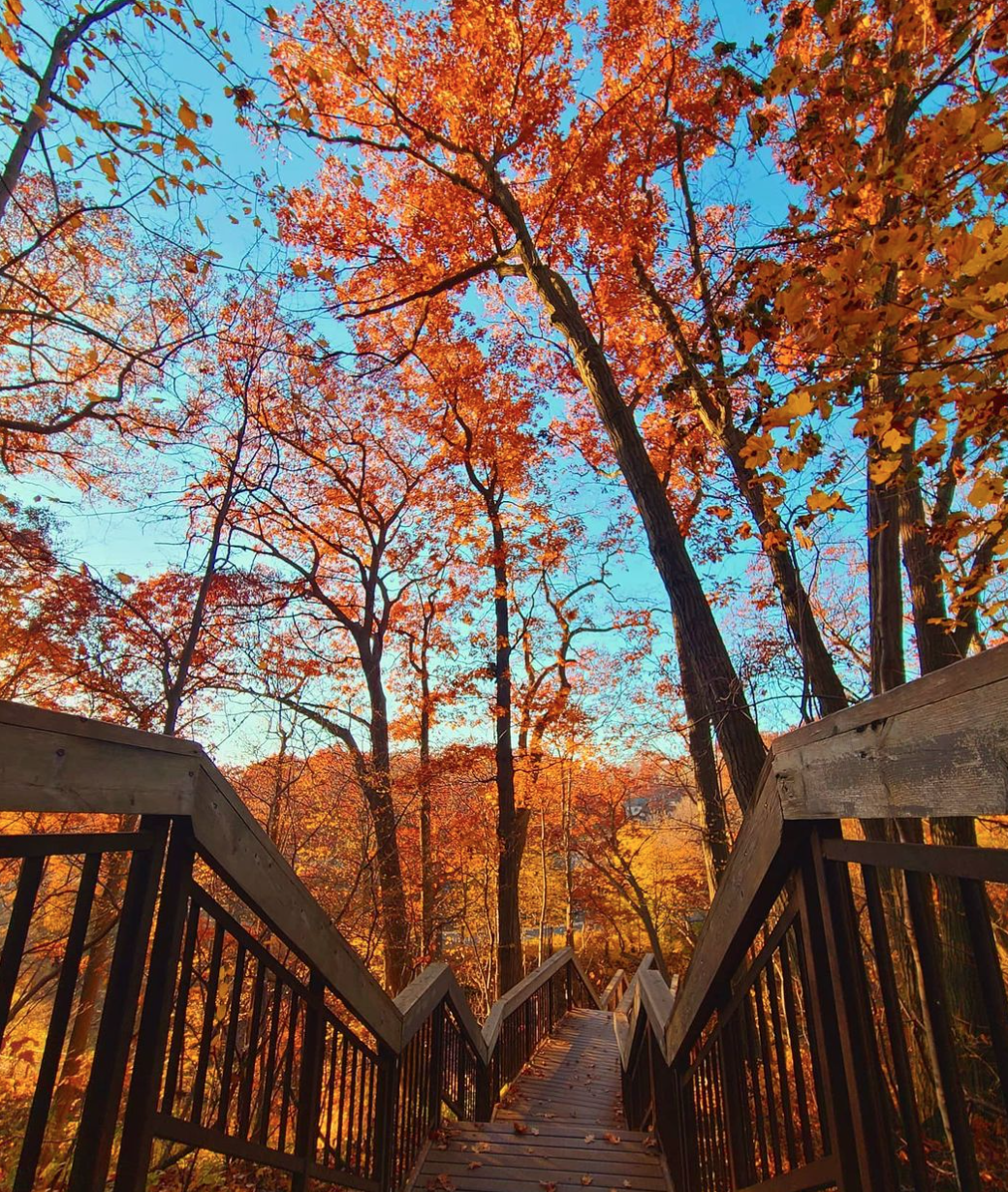 阿岗昆的代餐找到了！多伦多周边12个宝藏赏枫好去处：不远不出城！