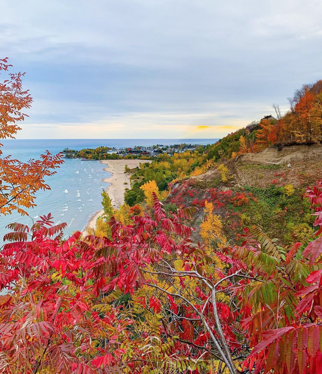 阿岗昆的代餐找到了！多伦多周边12个宝藏赏枫好去处：不远不出城！