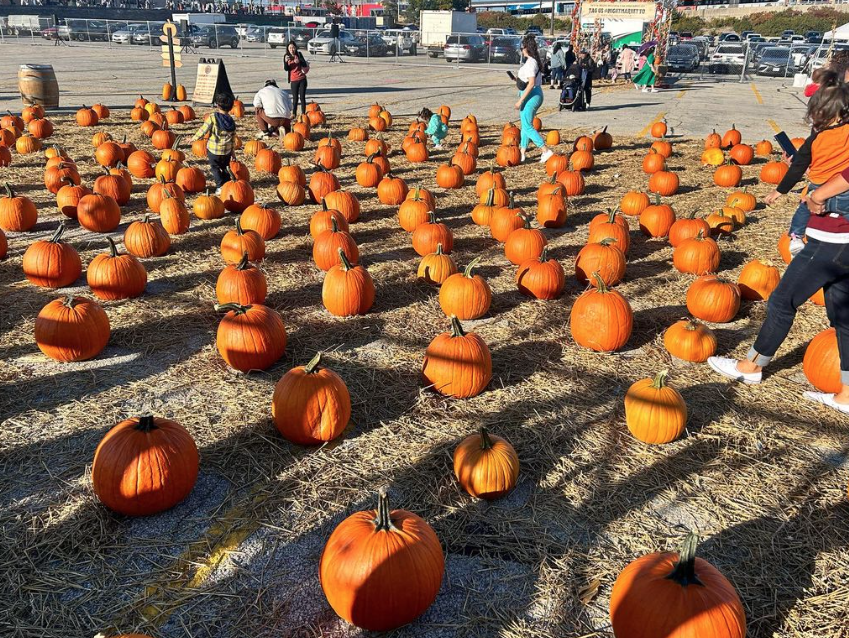 恐龙遇上大南瓜！沉浸式万圣节主题遛娃：Halloween Hoopla！