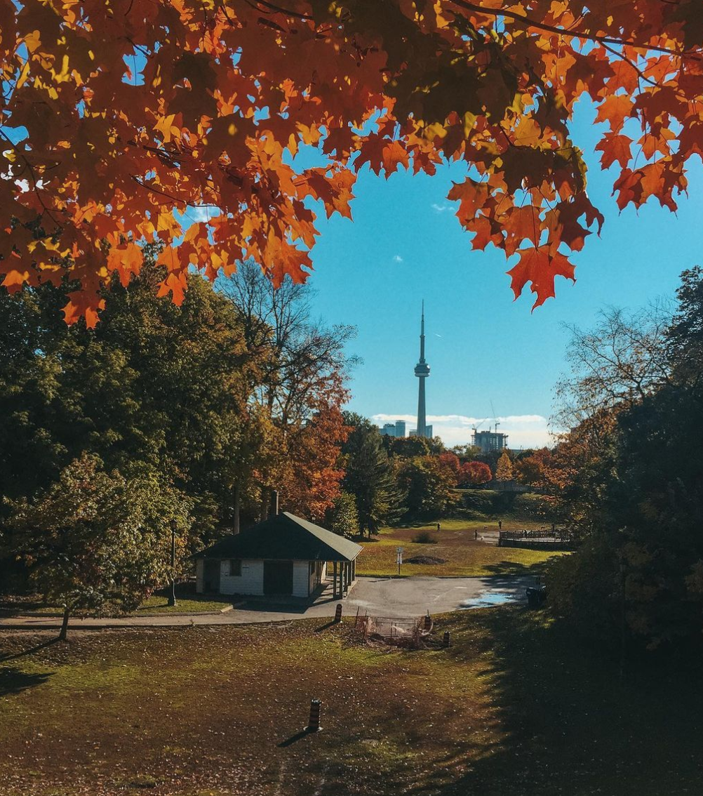 阿岗昆的代餐找到了！多伦多周边12个宝藏赏枫好去处：不远不出城！