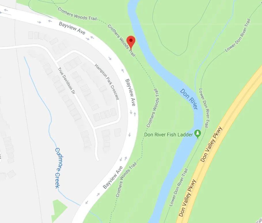 阿岗昆的代餐找到了！多伦多周边12个宝藏赏枫好去处：不远不出城！