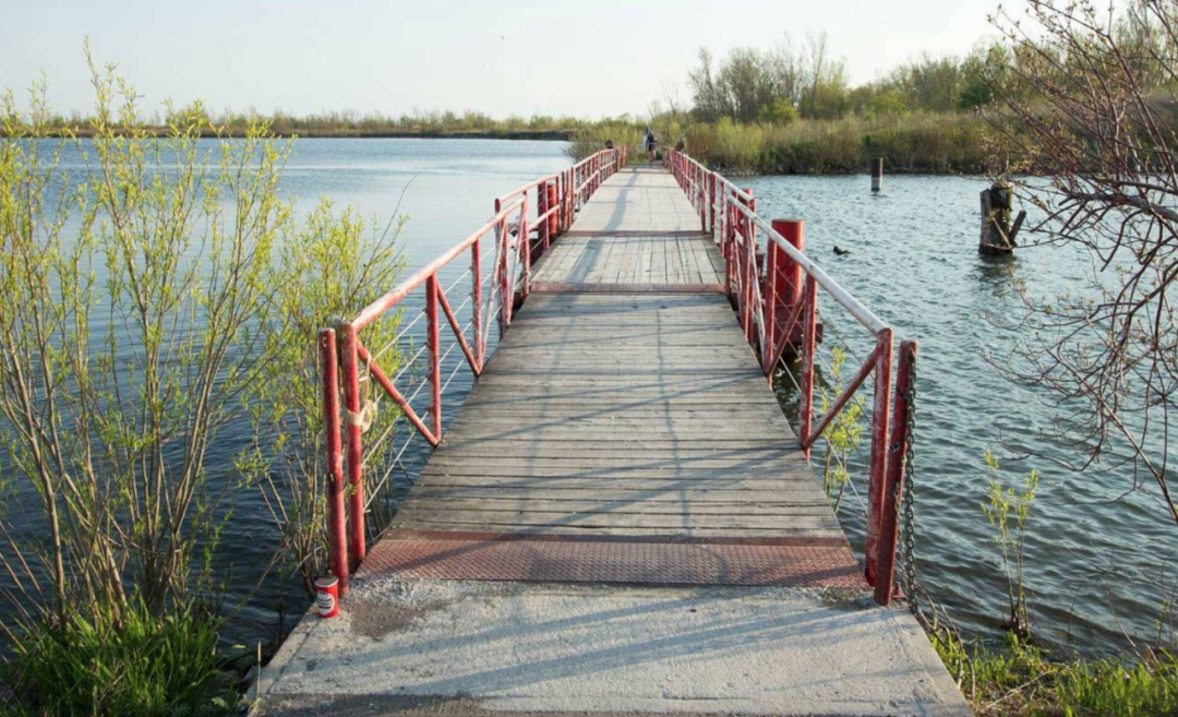 阿岗昆的代餐找到了！多伦多周边12个宝藏赏枫好去处：不远不出城！