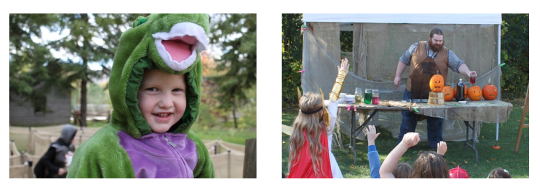 有羊有牛还“有鬼”！盘点多伦多入冬前值得打卡的5个动物农场