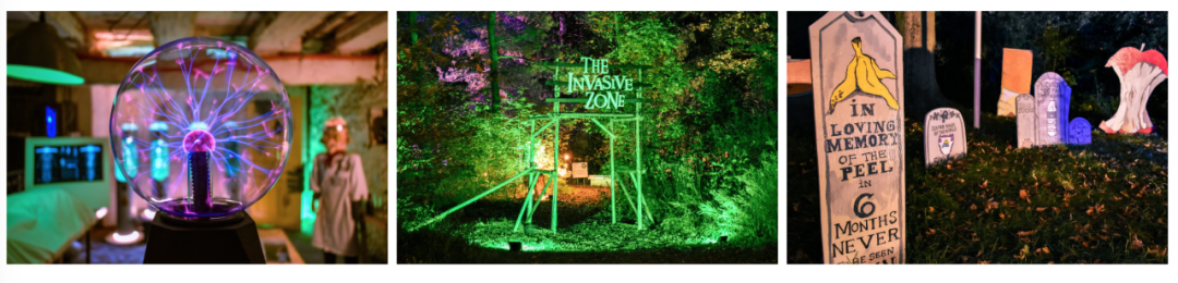 有羊有牛还“有鬼”！盘点多伦多入冬前值得打卡的5个动物农场