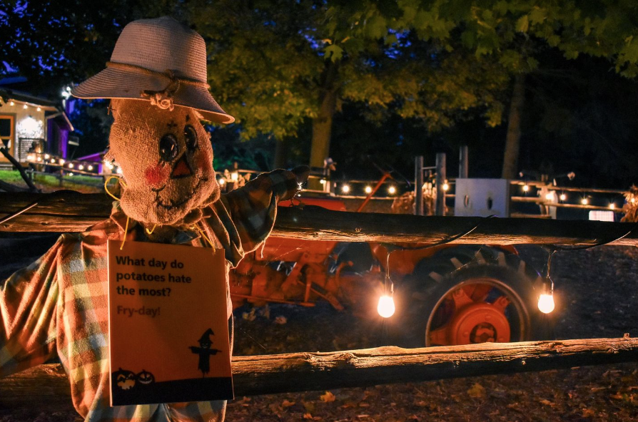 有羊有牛还“有鬼”！盘点多伦多入冬前值得打卡的5个动物农场