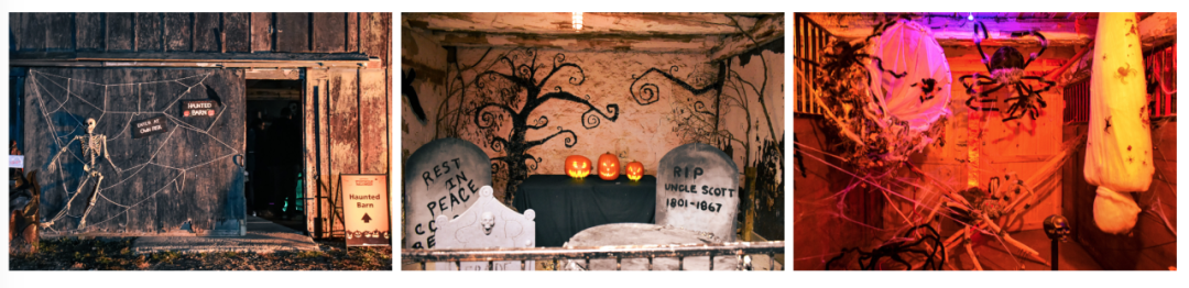 有羊有牛还“有鬼”！盘点多伦多入冬前值得打卡的5个动物农场