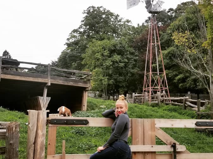 有羊有牛还“有鬼”！盘点多伦多入冬前值得打卡的5个动物农场