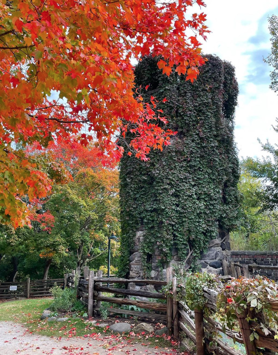 有羊有牛还“有鬼”！盘点多伦多入冬前值得打卡的5个动物农场