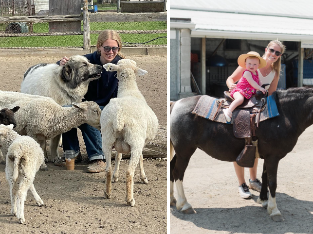 有羊有牛还“有鬼”！盘点多伦多入冬前值得打卡的5个动物农场