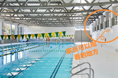 零基础儿童班到成人班！这家游泳俱乐部全都承包！早鸟价了解一下