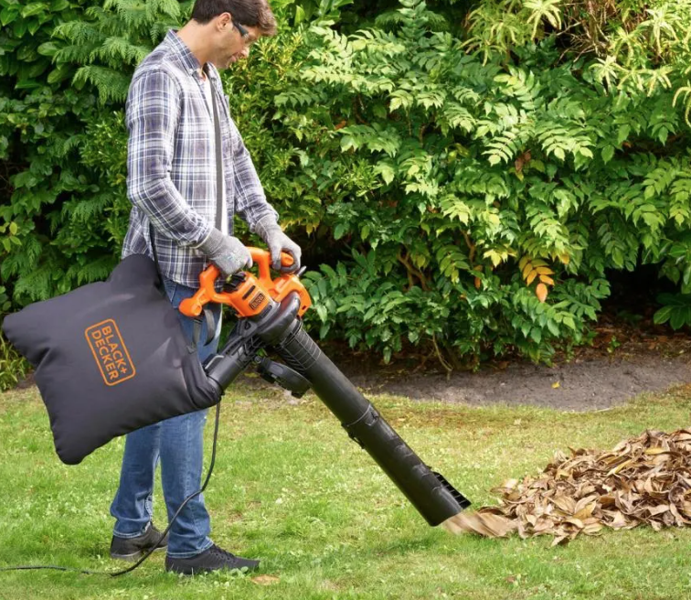 在线急等！秋天一定要清理落叶吗？不可以直接当肥料吗？