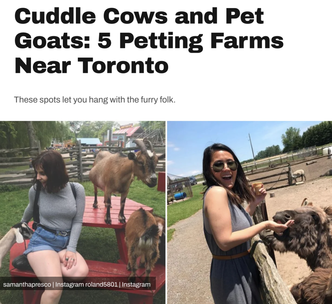 有羊有牛还“有鬼”！盘点多伦多入冬前值得打卡的5个动物农场