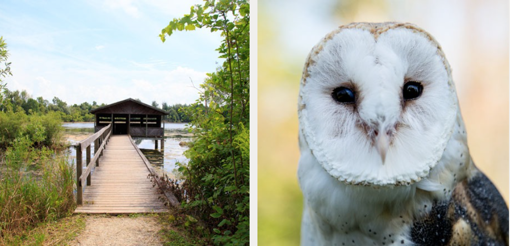 有羊有牛还“有鬼”！盘点多伦多入冬前值得打卡的5个动物农场
