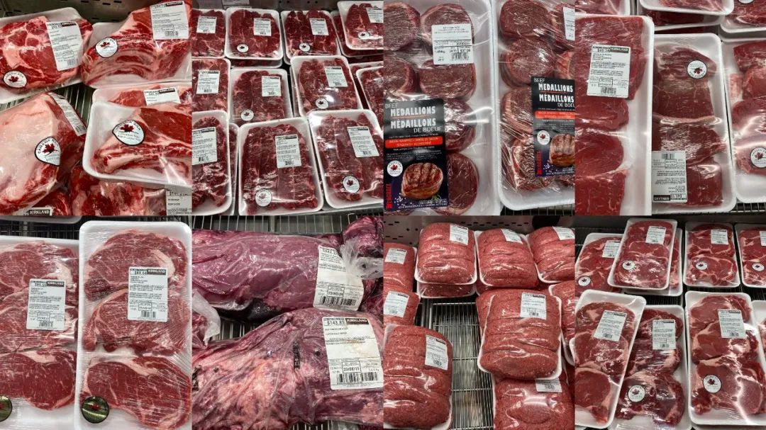 公主请吃牛肉!Costco买牛肉攻略:下次买肉再也不会把CPU干烧了! 公主请吃牛肉!Costco买牛肉攻略:下次买肉再也不会把CPU干烧了!