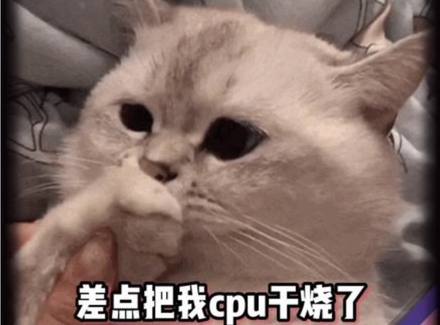 公主请吃牛肉!Costco买牛肉攻略:下次买肉再也不会把CPU干烧了! 公主请吃牛肉!Costco买牛肉攻略:下次买肉再也不会把CPU干烧了!