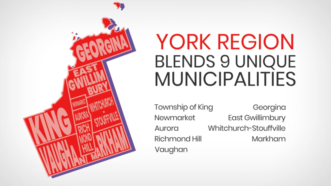 2024年9月入学：约克区国际学生申请通道已开启！申请材料攻略+清单