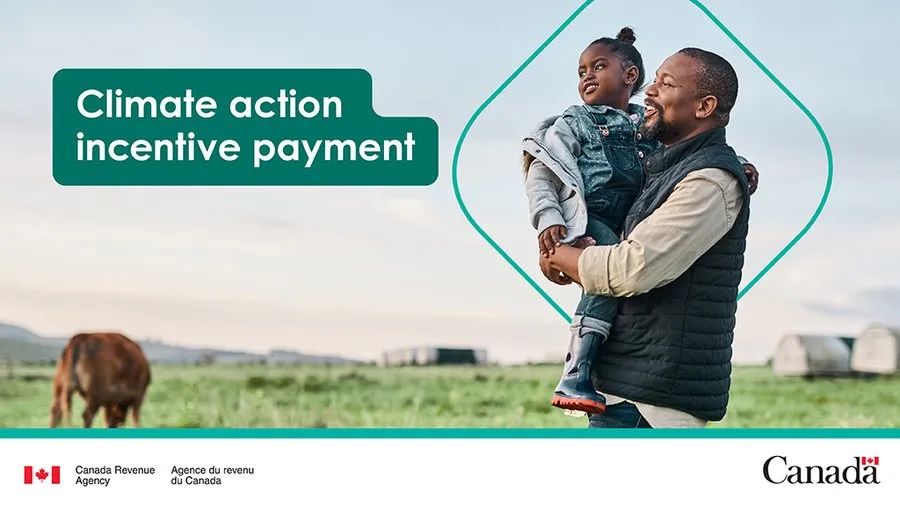 明天提前发牛奶金！2024年加拿大各种福利金发放日历：看看你能领到哪几项？