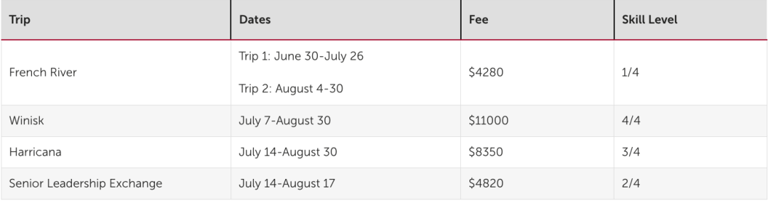 日营、过夜营、领导力主题营！YMCA夏令营今天开放报名，手慢无！