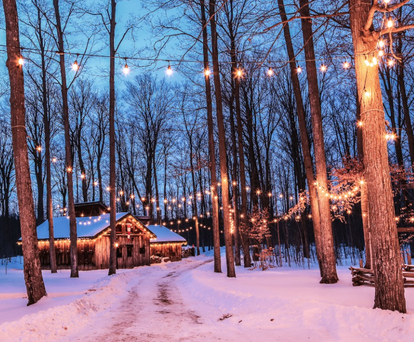 这个暖冬一玩一个不吱声：盘点多伦多周边7个短途景点