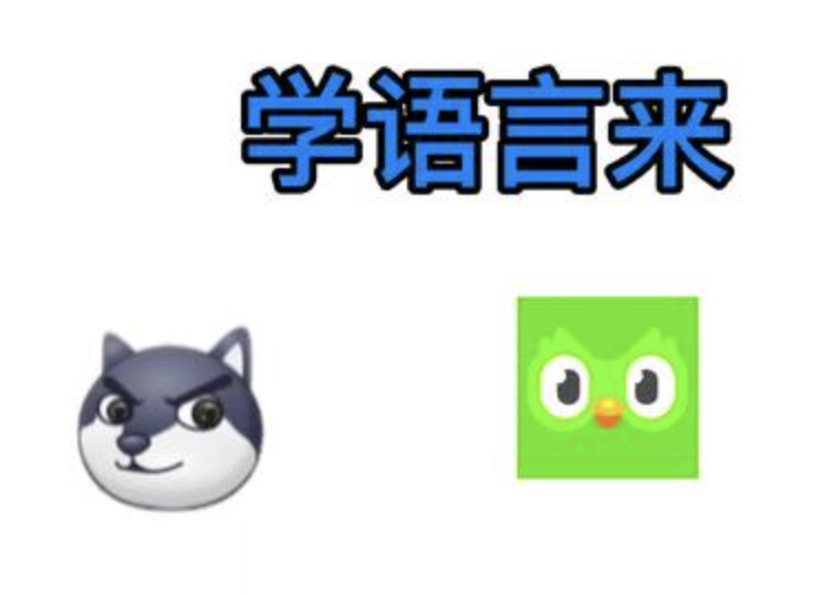 一只戏精小绿鸟，阴阳每一个不爱学习的人！
