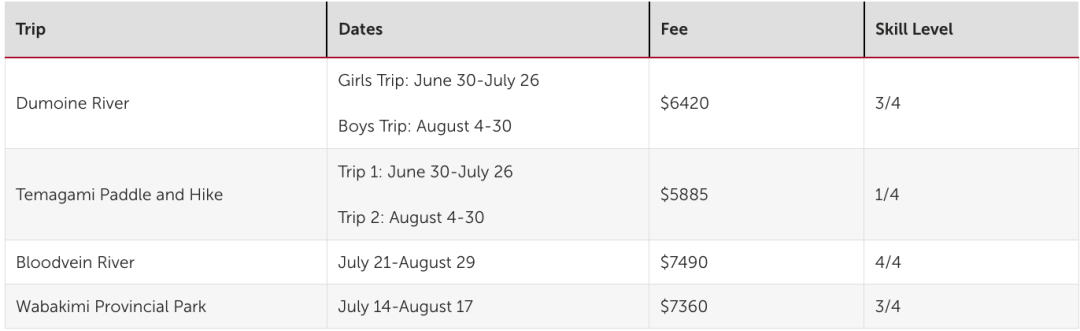 日营、过夜营、领导力主题营！YMCA夏令营今天开放报名，手慢无！