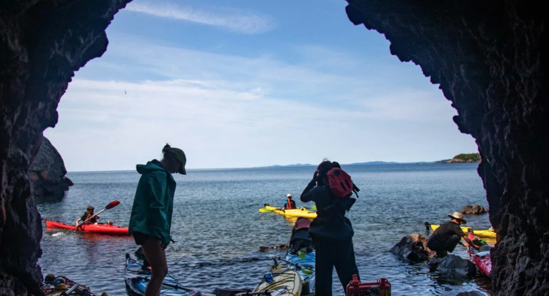 日营、过夜营、领导力主题营！YMCA夏令营今天开放报名，手慢无！