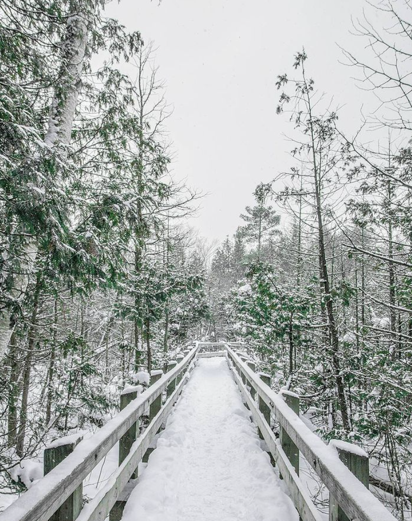 这个暖冬一玩一个不吱声：盘点多伦多周边7个短途景点