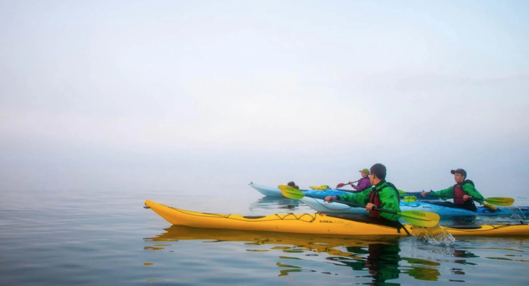 日营、过夜营、领导力主题营！YMCA夏令营今天开放报名，手慢无！