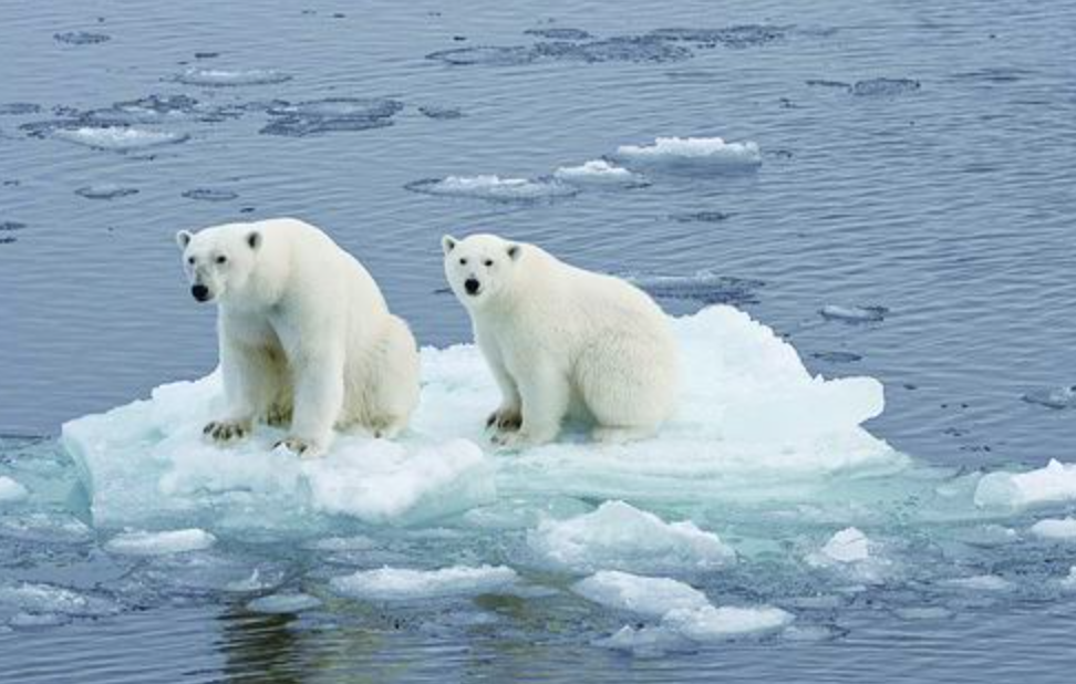 科幻惊悚片！北极冻土层里的僵尸病毒正在复苏：全球下一场疫情？