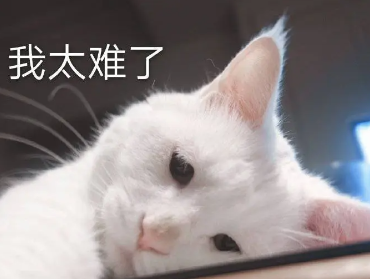 3-15岁少儿法语学习神器来啦！Storyplay'r沉浸式法语在线有声图书馆