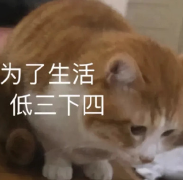 这撮羊毛必须薅!麦当劳汉堡王收据上隐藏彩蛋:打工人免费餐 这撮羊毛必须薅!麦当劳汉堡王收据上隐藏彩蛋:打工人免费餐