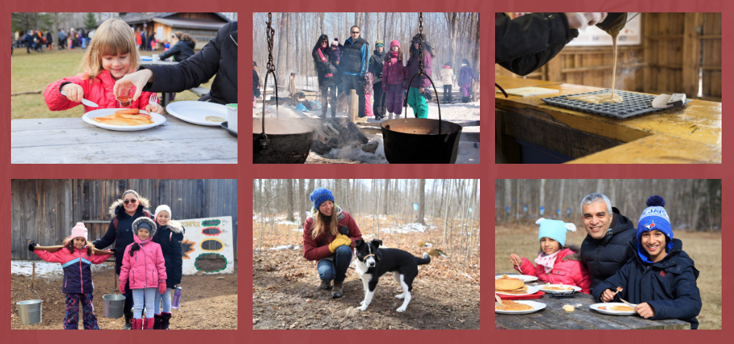 体验传统枫叶国古老制糖:多伦多周边值得去打卡的枫糖节盘点! 体验传统枫叶国古老制糖:多伦多周边值得去打卡的枫糖节盘点!