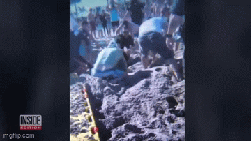 佛州7岁女孩沙滩挖坑被活埋死亡：最可怕的是没人觉得这么做很危险