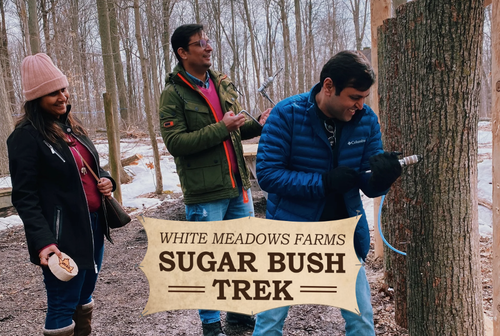 体验传统枫叶国古老制糖:多伦多周边值得去打卡的枫糖节盘点! 体验传统枫叶国古老制糖:多伦多周边值得去打卡的枫糖节盘点!