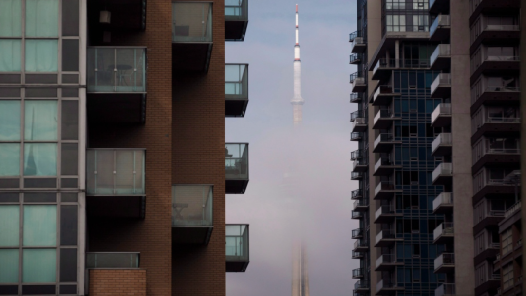 2月29日最后截止！晚报罚250，不报交1万！多伦多房屋空置申报：市政厅下周现场开班教学